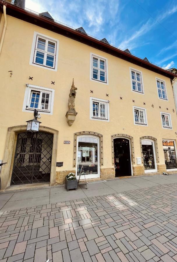 Villa Einhorn: Ruhe Oase Mitten Im Zentrum Гослар Экстерьер фото