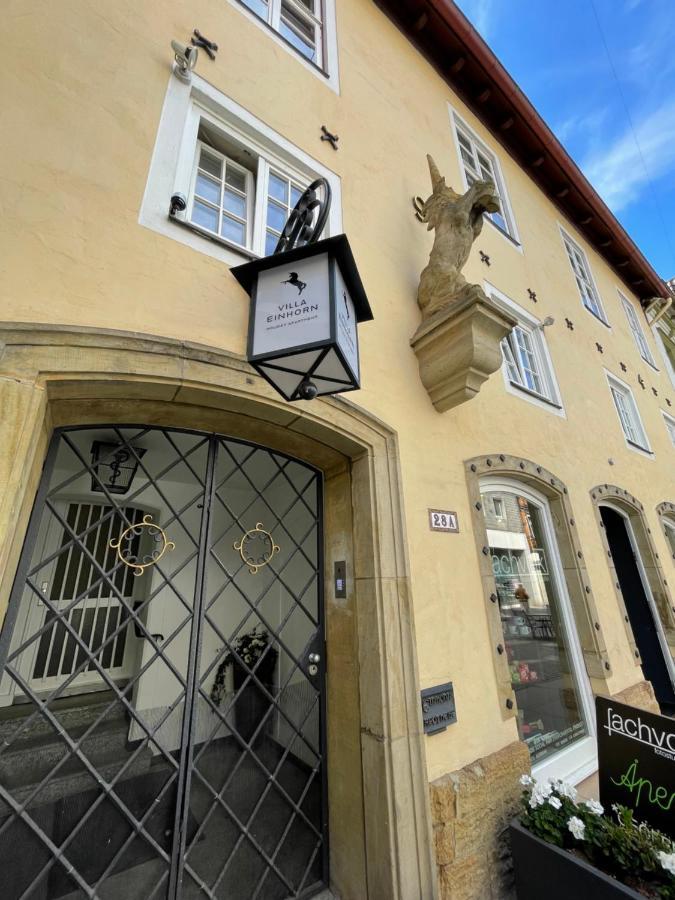 Villa Einhorn: Ruhe Oase Mitten Im Zentrum Гослар Экстерьер фото